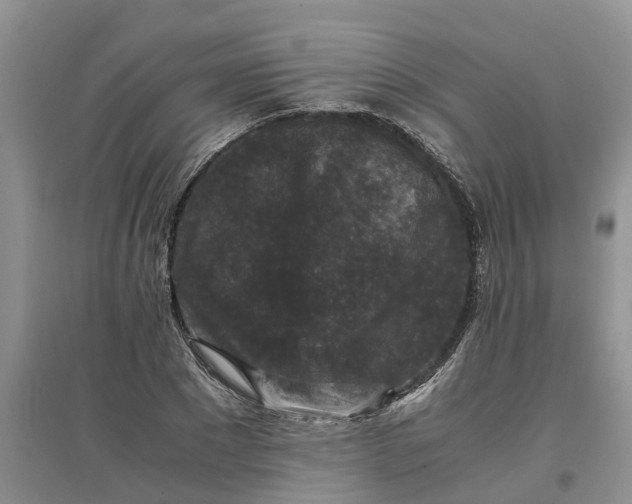 X0000097660881200803142130