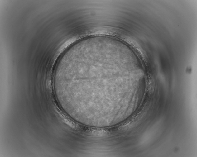 X0000097660882200803142130
