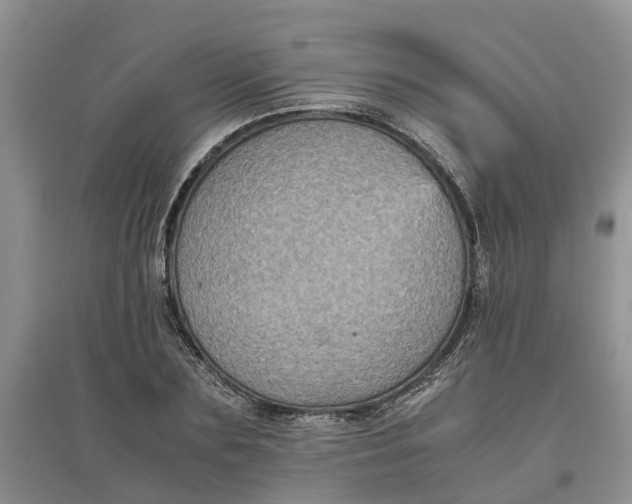 X0000097660883200803142130