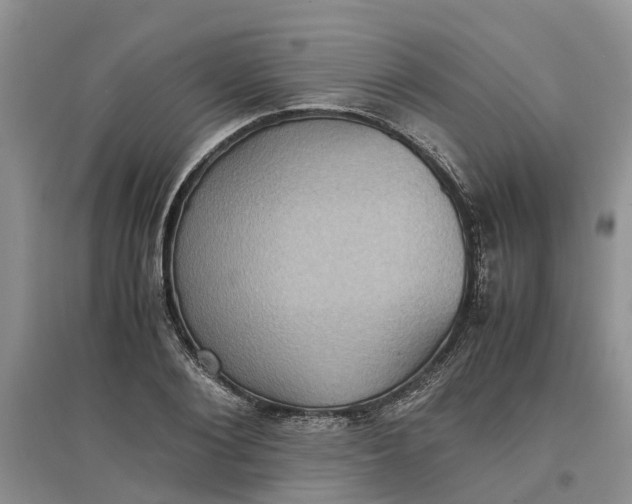 X0000097660884200803142130