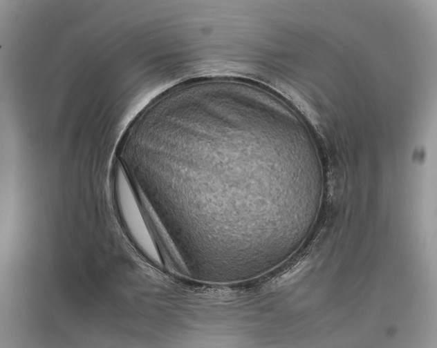 X0000097660885200803142130