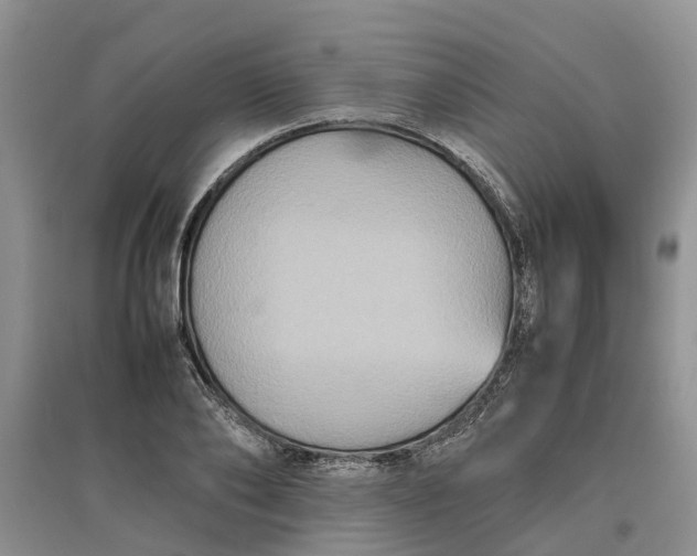 X0000097660886200803142130