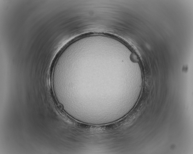 X0000097660887200803142130