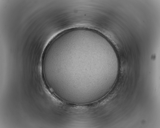 X0000097660888200803142130