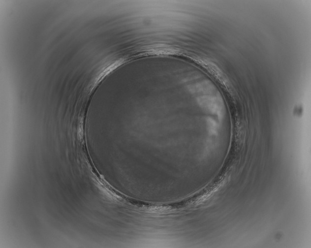 X0000097660889200803142130