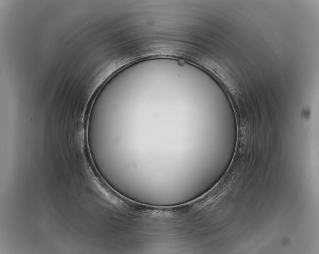 X0000097660890200803142130
