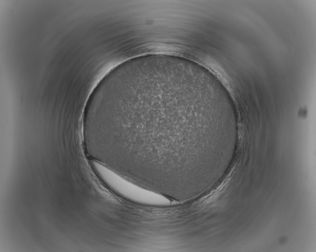 X0000097660891200803142130