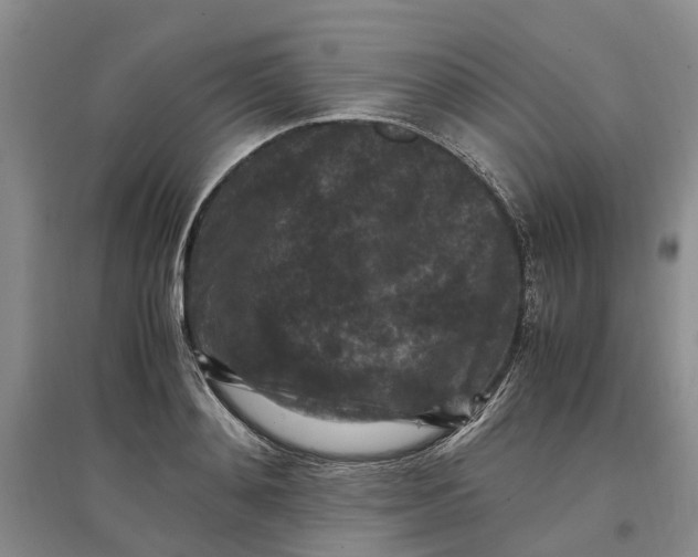 X0000097660892200803142130