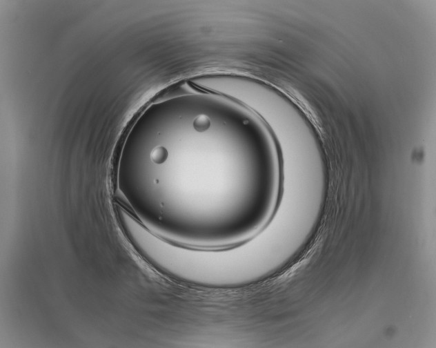X0000097660893200803142130