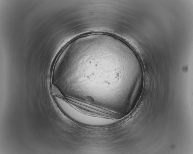 X0000097660895200803142130