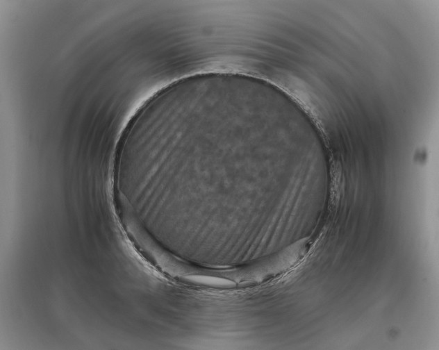 X0000097660896200803142130