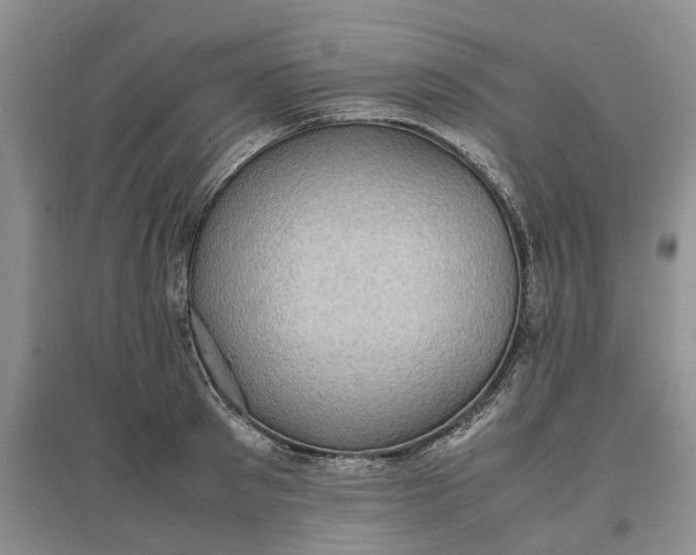 X0000097660897200803142130