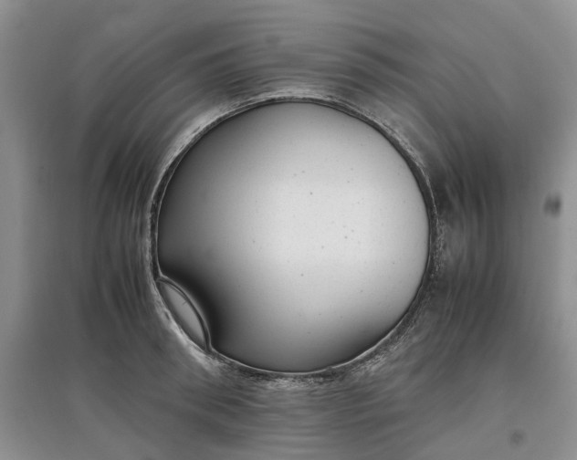 X0000097660898200803142130