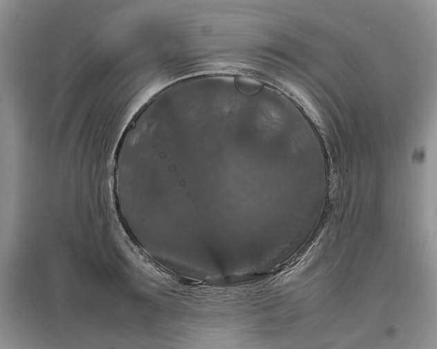X0000097660899200803142129