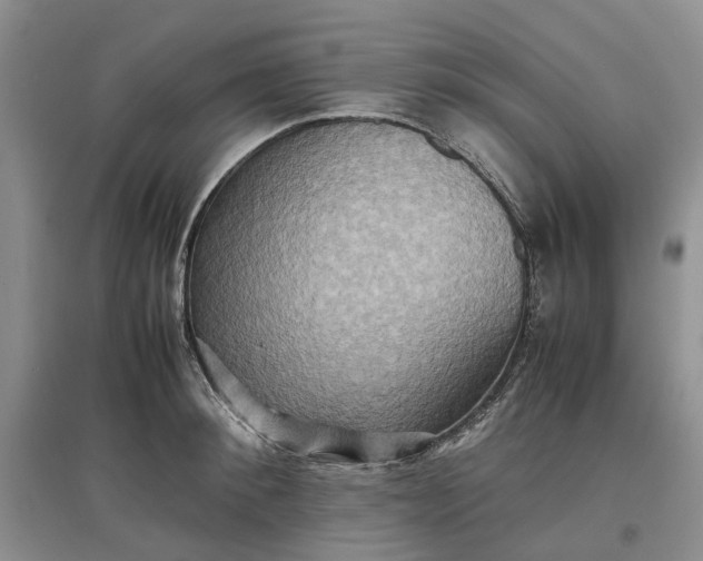 X0000097660900200803142129