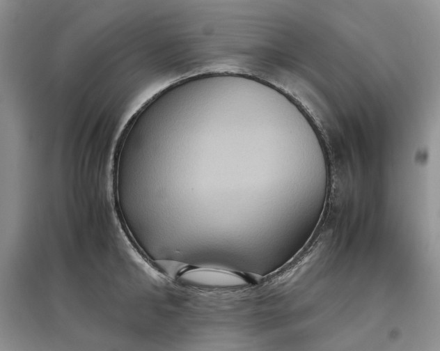 X0000097660902200803142129