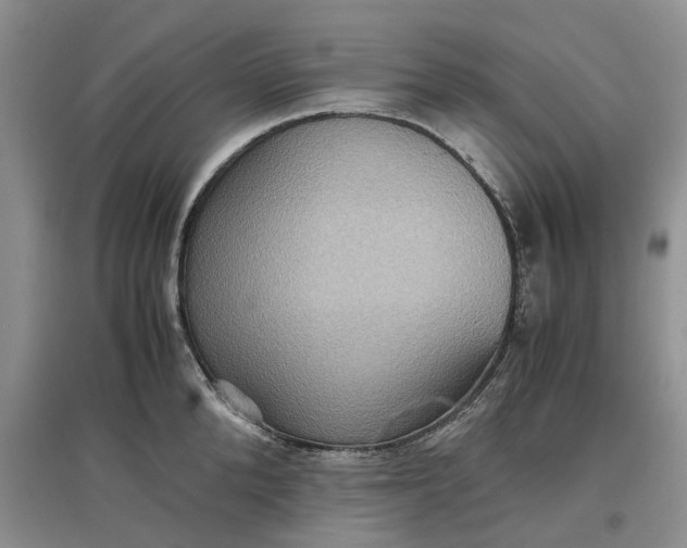 X0000097660904200803142129