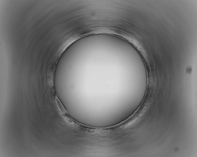 X0000097660905200803142129