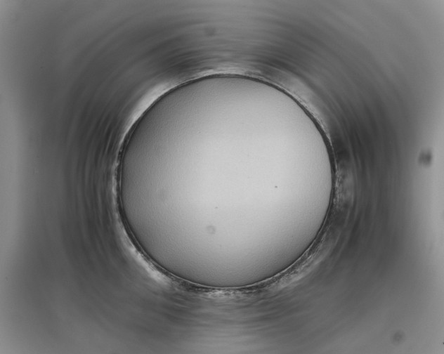 X0000097660906200803142129