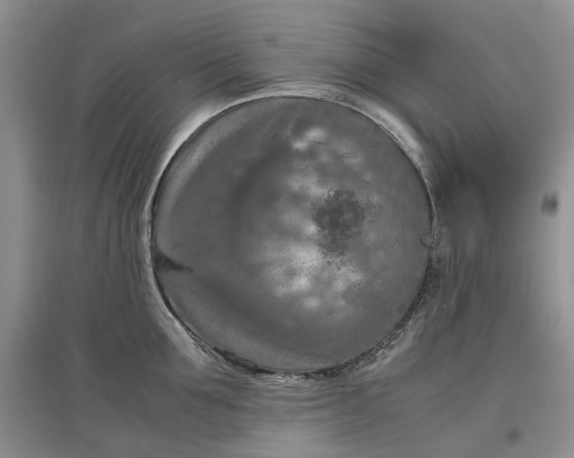 X0000097660907200803142129