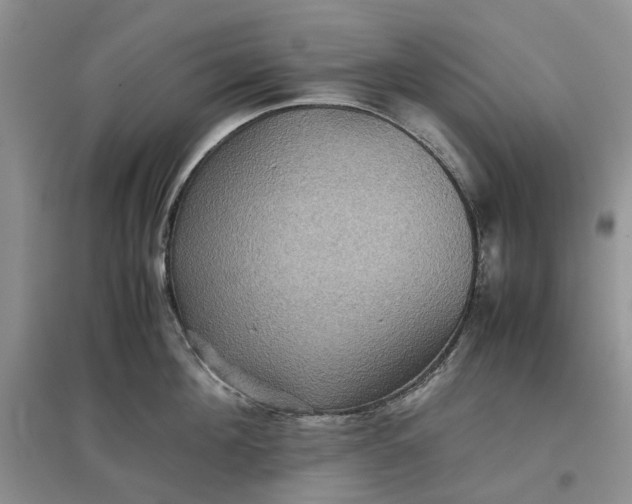 X0000097660908200803142129