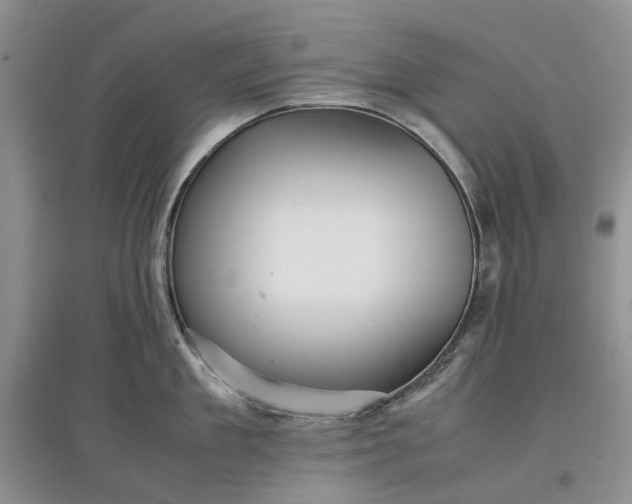 X0000097660909200803142129