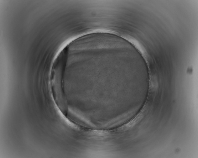 X0000097660910200803142129