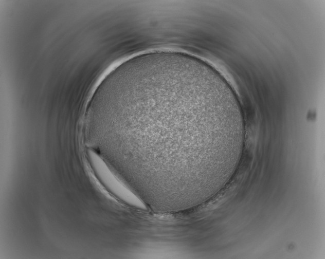 X0000097660911200803142129