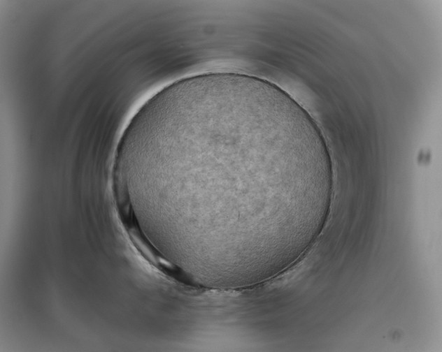 X0000097660912200803142129