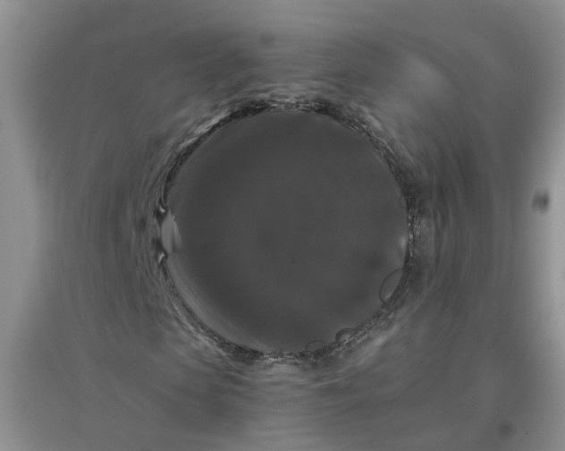 X0000097660913200803142129
