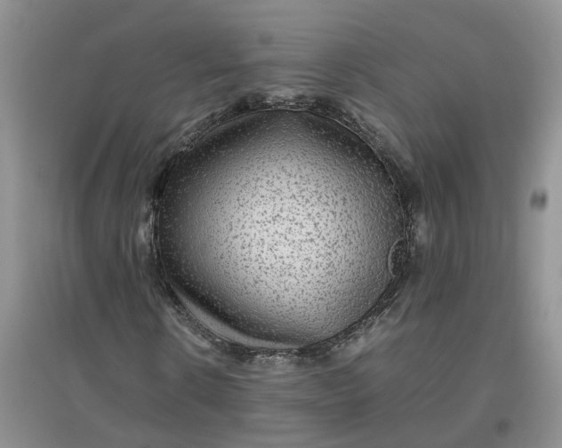 X0000097660914200803142129