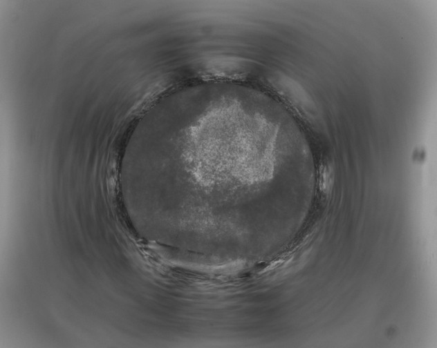 X0000097660915200803142129