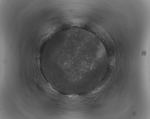 X0000097660916200803142129