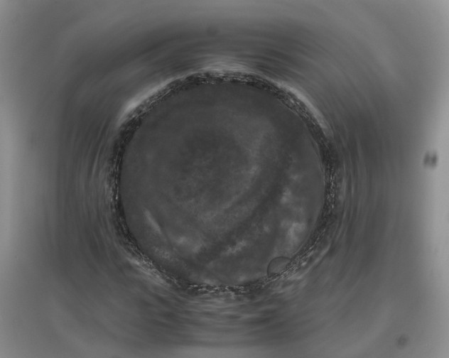 X0000097660919200803142129