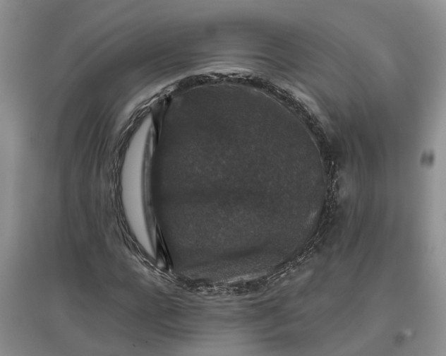 X0000097660920200803142129