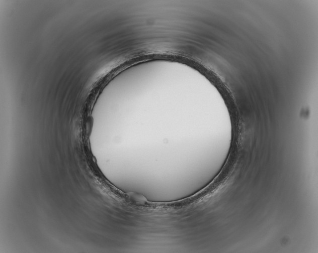 X0000097660922200803142129