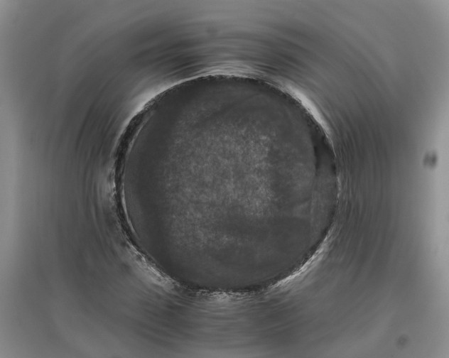 X0000097660923200803142129