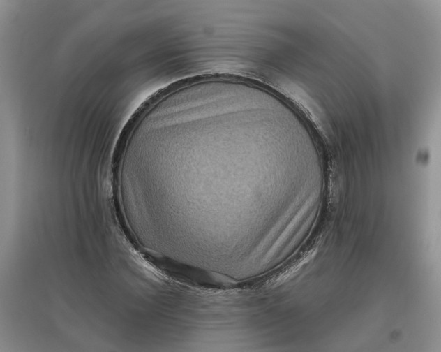 X0000097660924200803142129