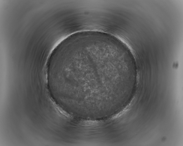 X0000097660925200803142129