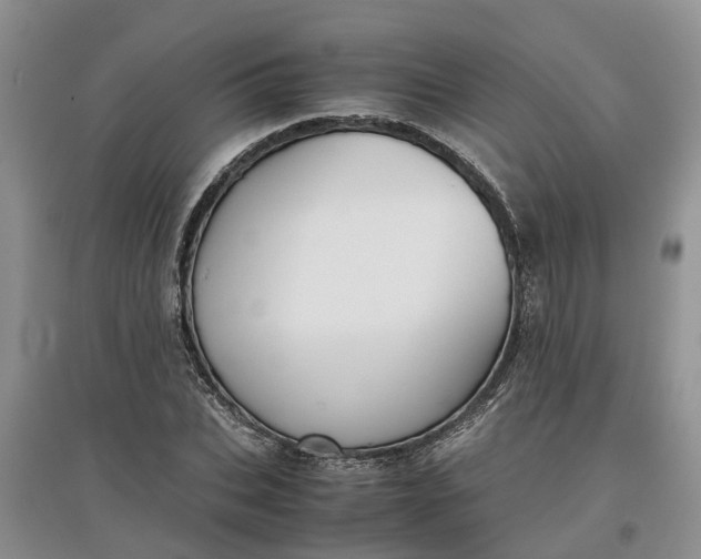 X0000097660927200803142129