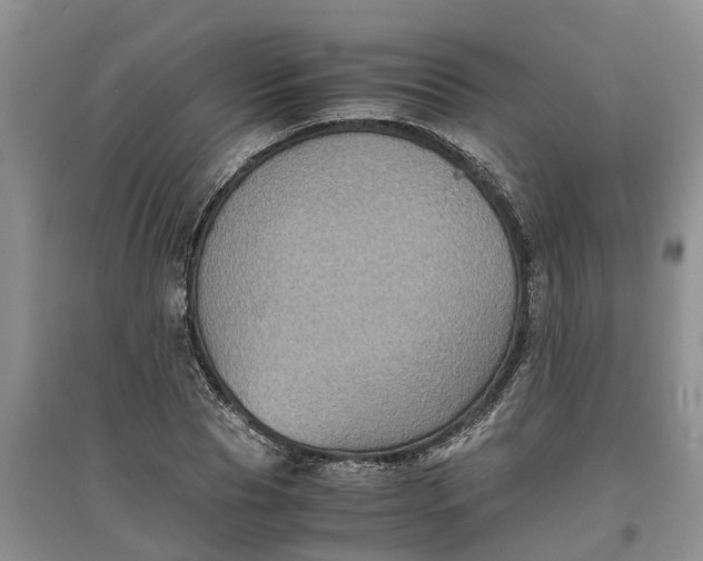 X0000097660929200803142129
