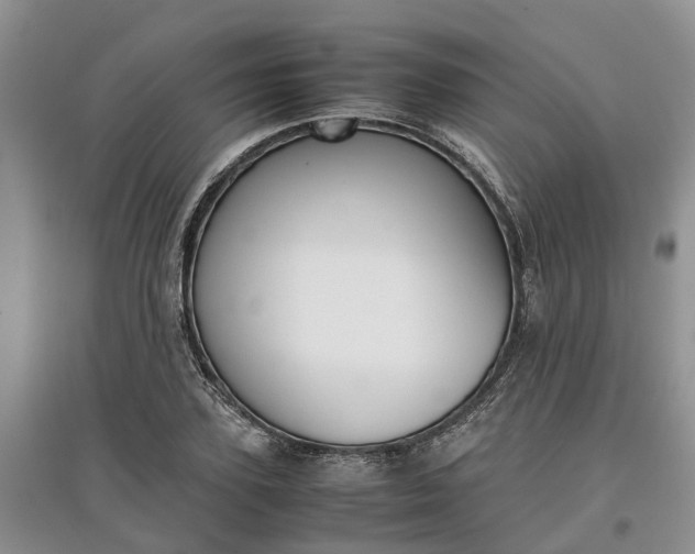 X0000097660931200803142129