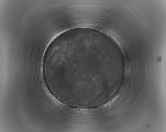 X0000097660932200803142129