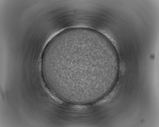 X0000097660933200803142129