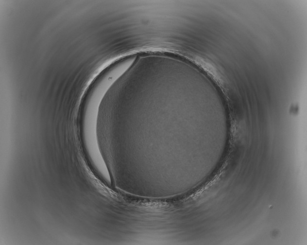 X0000097660934200803142129