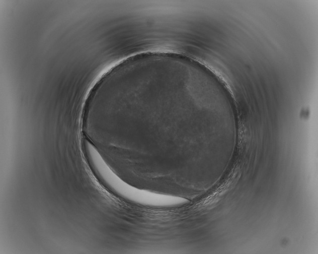 X0000097660935200803142129