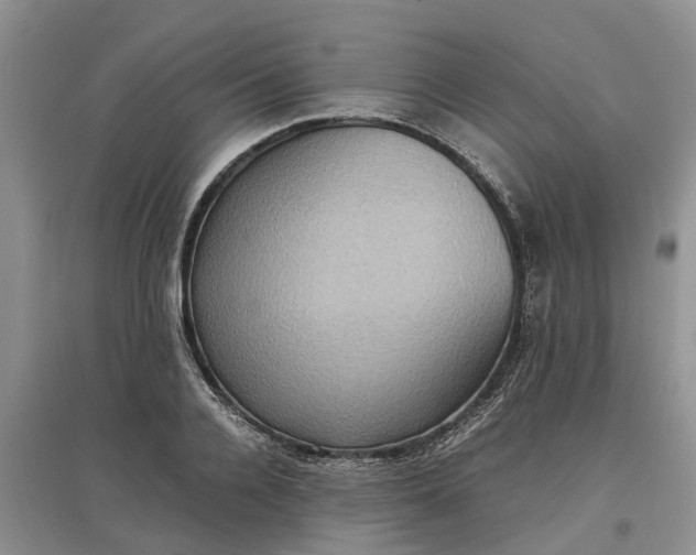 X0000097660936200803142129