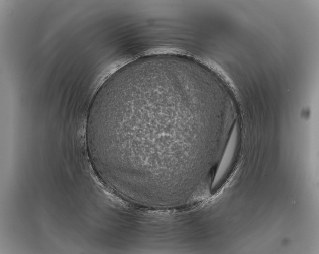 X0000097660937200803142129