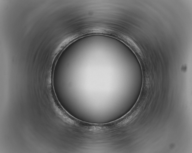 X0000097660938200803142129