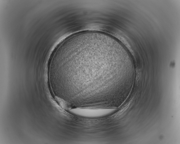 X0000097660939200803142129
